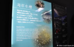 Enoshima Aquarium